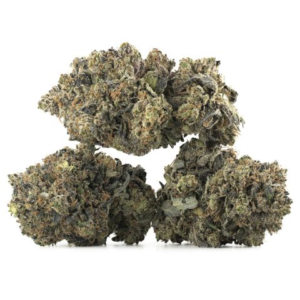 Granddaddy Purple Strain