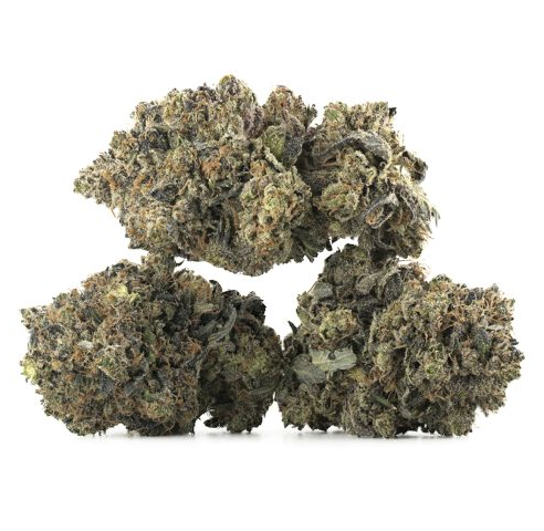 Granddaddy Purple Strain