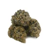 Jet Fuel Strain