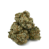 Key Lime Pie Strain