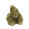 Papaya Punch Strain