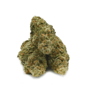 Papaya Punch Strain
