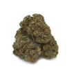 Pink Gas Strain