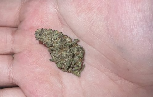 Image #1 from Whos.your.plug_