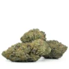 Blue Dream Strain