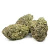 Royal Gorilla by RQS