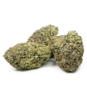 Royal Gorilla by RQS