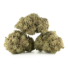 White Rutnz Strain