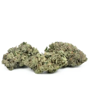 Thin Mint Strain
