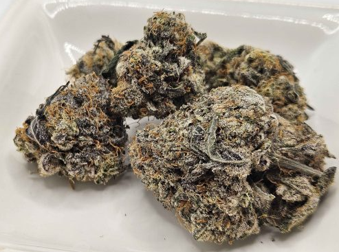 Image #1 from reneThor46