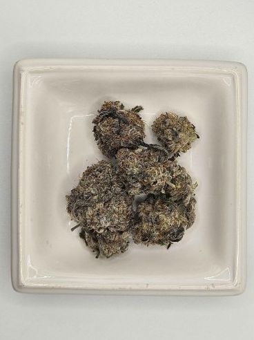 Image #2 from reneThor46