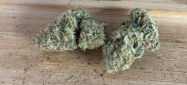 Image #1 from Qlip19